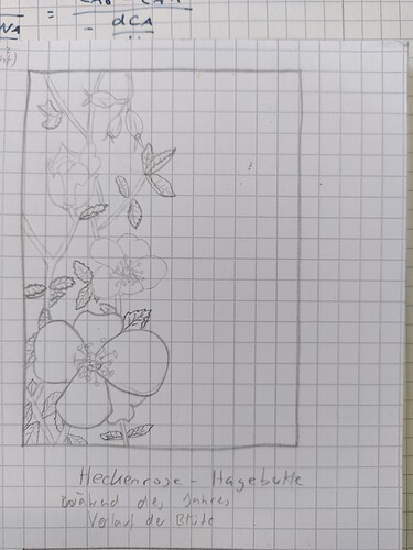 16451877557598972085454555452729