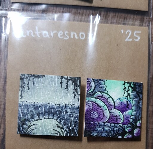 20250222_180500_resized