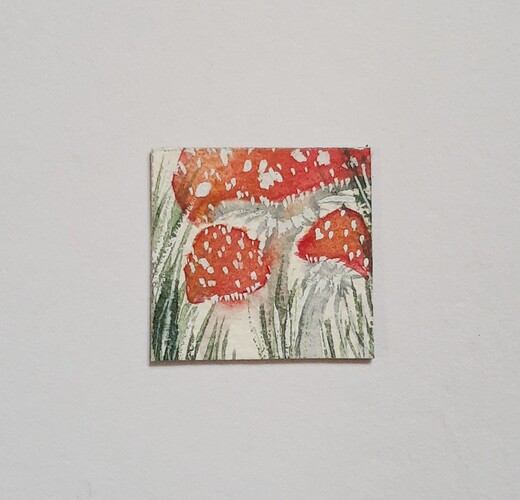 IMG_20211202_135944461