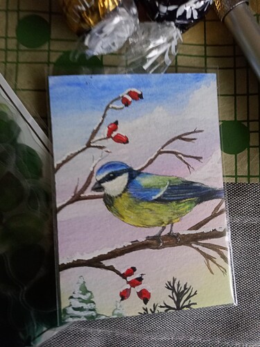 IMG_20221206_113826_630