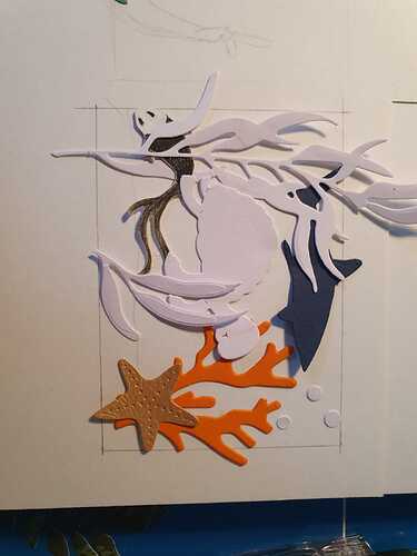 WhatsApp Image 2021-05-03 at 18.26.38