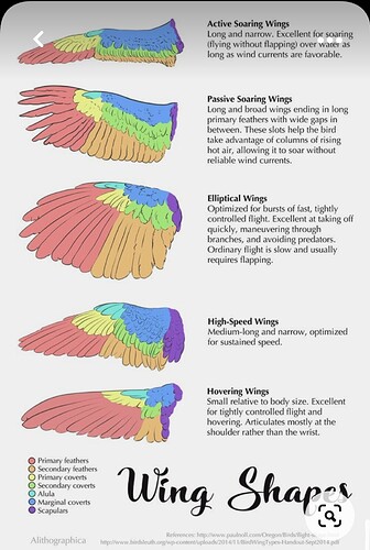 Screenshot_20220428-144801_Pinterest