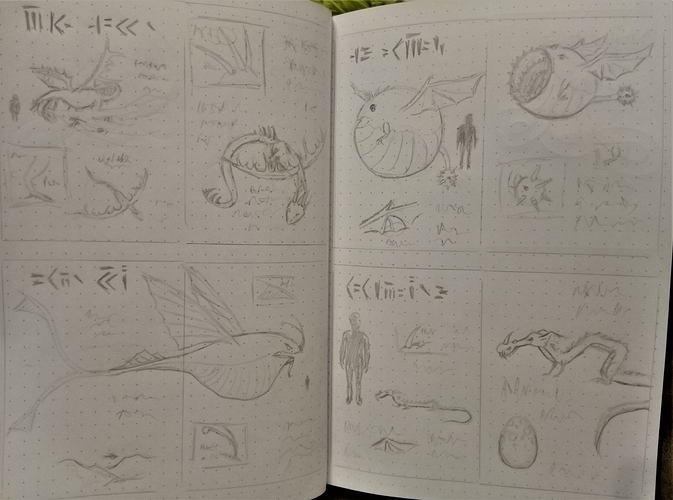 IMG_20200816_195753 (3)