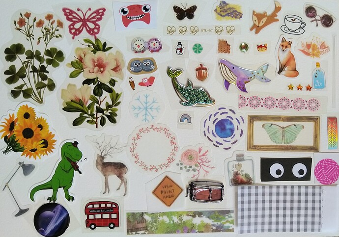 IMG_20220618_120345~2