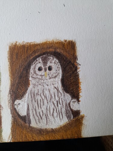 20231022_155112_Original