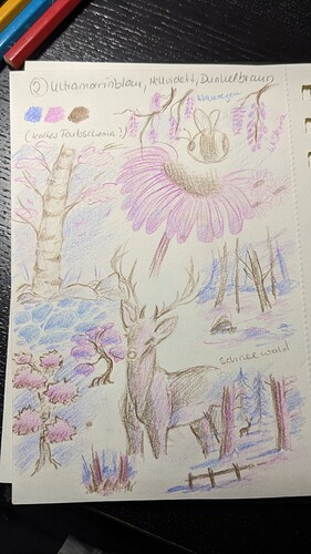 PXL_20240501_191644324