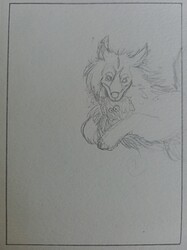 Picsart_22-07-16_19-08-24-309