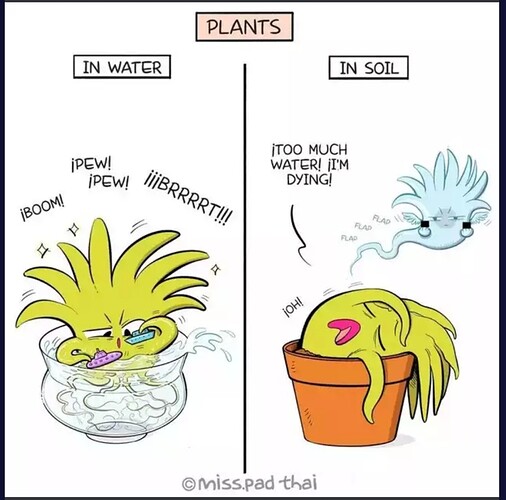 Screenshot_20230809_232438_Firefox