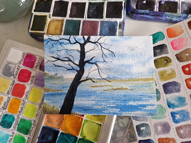 17162894815638775959976846102680