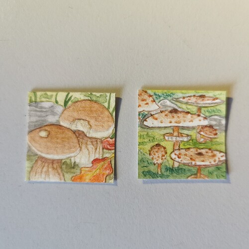 IMG_20231024_105603_edit_111522883768918