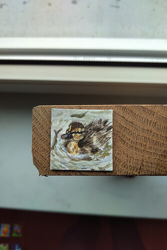 IMG_20221205_1214267