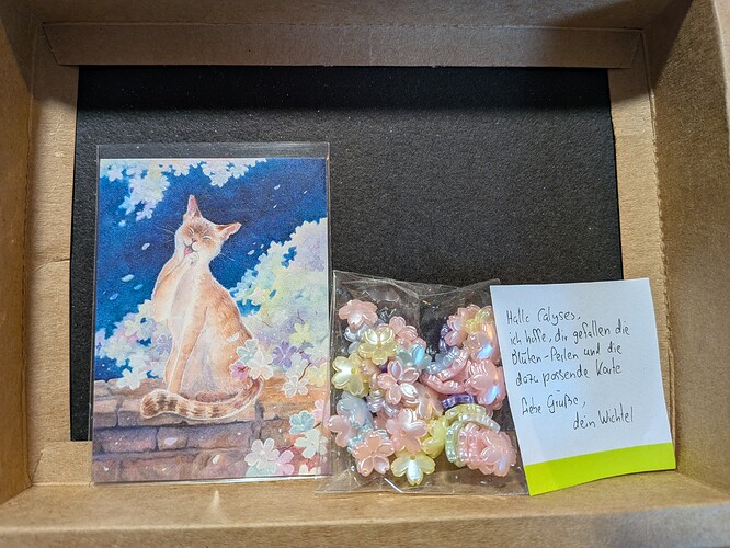 PXL_20251212_103314387