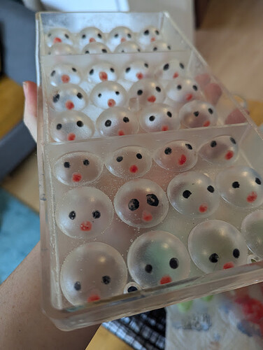 PXL_20241124_085608444