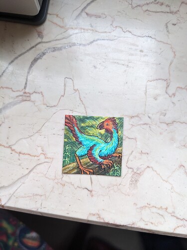 PXL_20241215_110201752