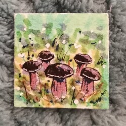 IMG_20241223_074550_edit_545371259446467