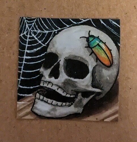 PXL_20221214_162428049