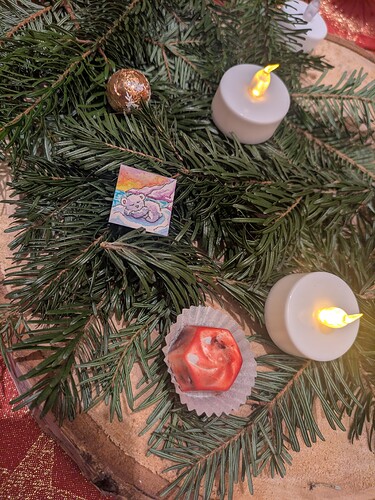 PXL_20241211_061159465