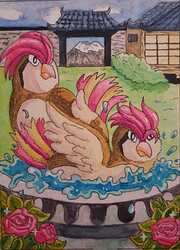 WhatsApp Image 2025-06-30 at 20.44.50