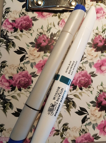 131410372_851985502219239_4172226550133960958_n