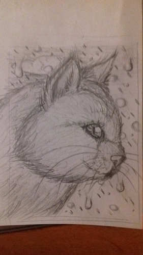 1608654935020587606621