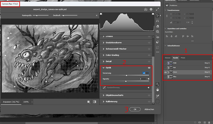 01_chromatic-abberation_camera-raw_kanal-gruen