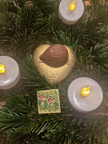 PXL_20241223_072555926