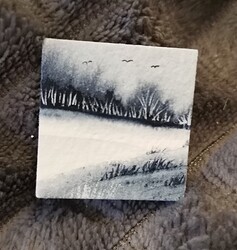 IMG_20241209_110958_edit_326779538469407