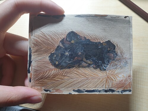 16558369560002446408523396371214