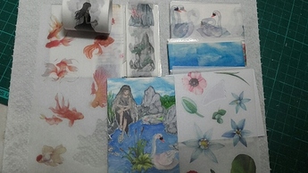 20200126_080935_resized