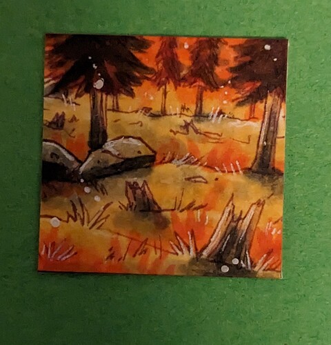 PXL_20221214_160640872