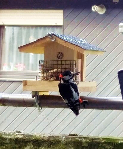 9649c905-5cd1-4149-aacf-624f350cc375