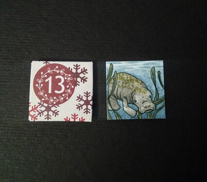 IMG_20211213_195612~2