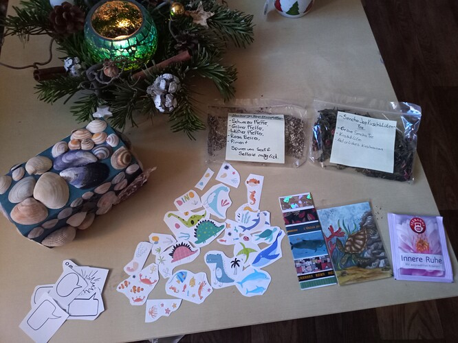 IMG_20221224_160011_409