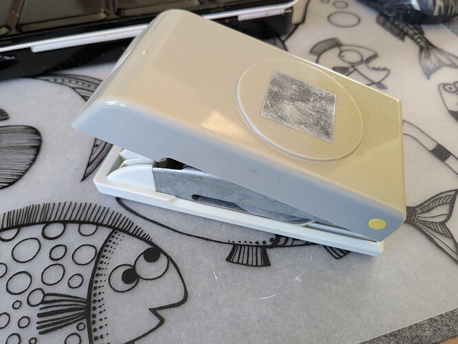 PXL_20250327_133059396