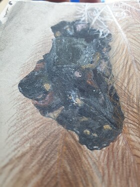 16558370817383200146121060797884