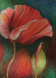 IMG_20210514_175223_edit_381853622586002