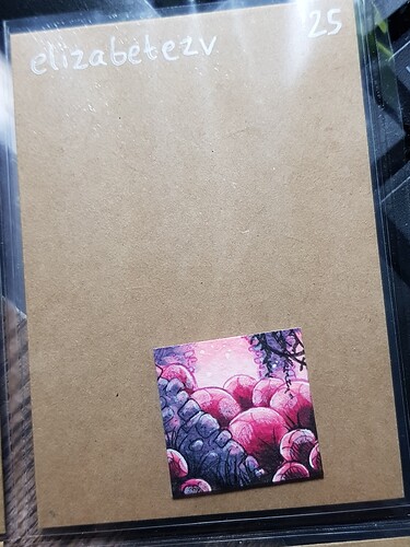 20250222_180108_resized