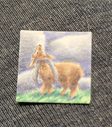 photo_2024-12-08_21-48-55