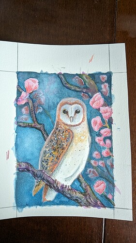 PXL_20240131_134528800.MP