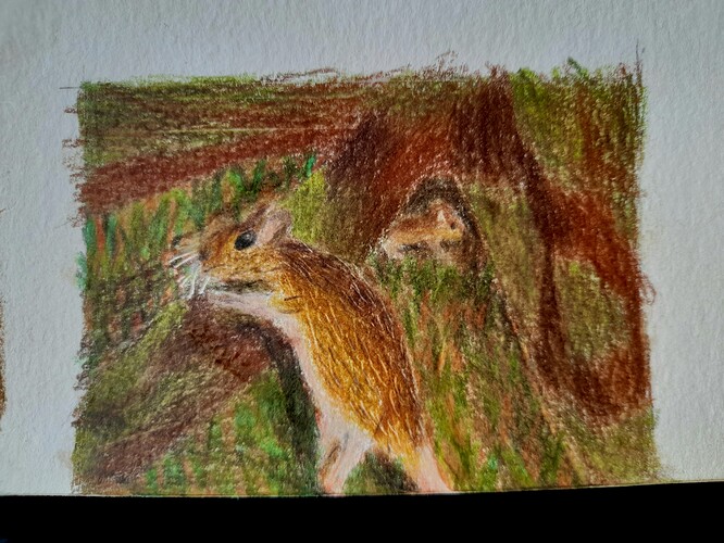 20231022_143414_Original