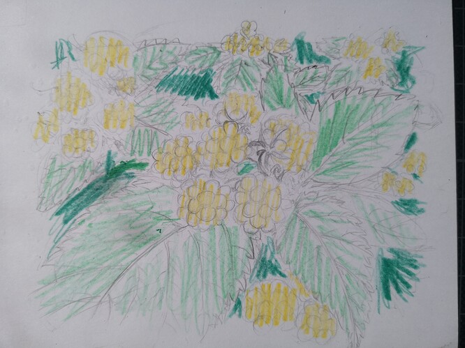 IMG_20230327_140816_edit_417740751671671