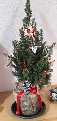 IMG_20231212_212549_edit_755152675551436