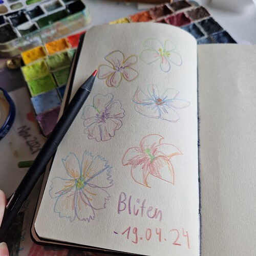 17135212663494016890714505326051