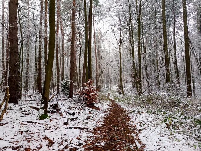 IMG_20211205_150419_906