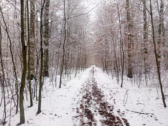 IMG_20211205_151319_783