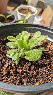 PXL_20220504_110610941