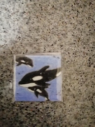 IMG_20201202_0456261