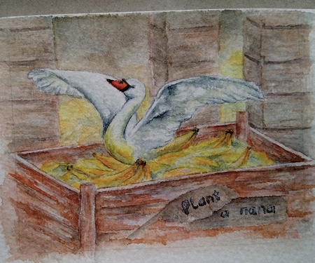 IMG_20200317_070551 (2)