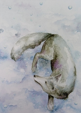 IMG_20200512_192641 (2)