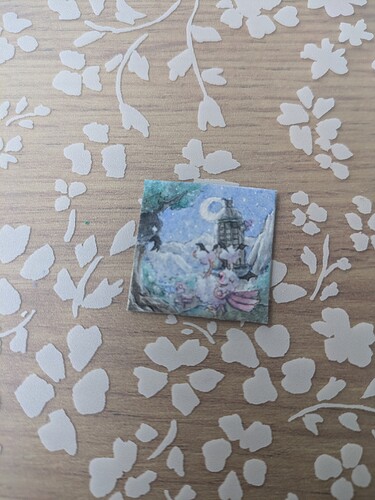 PXL_20241201_104503355